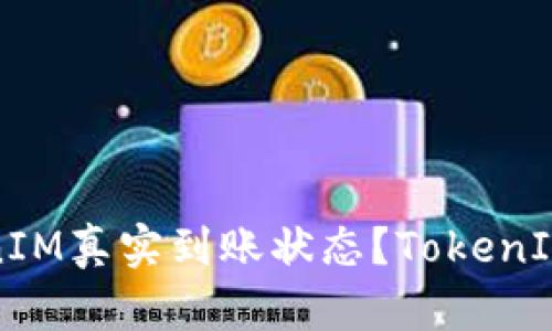 如何查看TokenIM真实到账状态？TokenIM到账查询教程