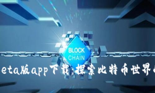 中本聪Beta版app下载：探索比特币世界的第一步